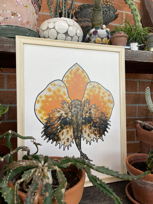 Gurnard Orchid - Art print
