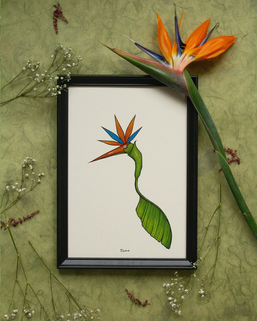Strelitziacean Heron - Art print
