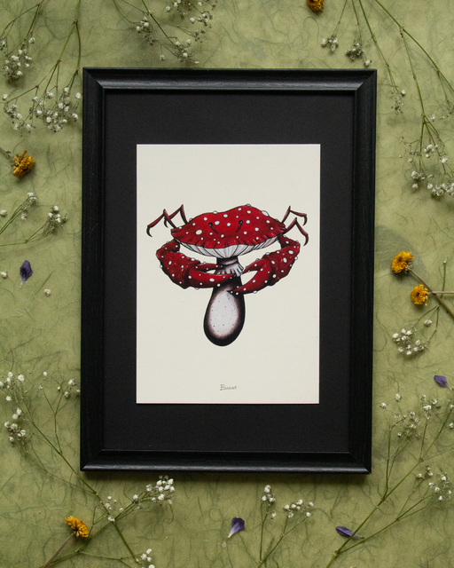 Crab Amanita - Art print