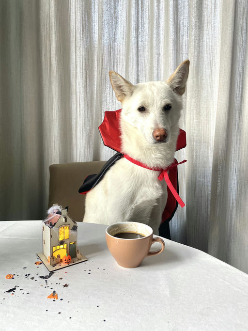 Werk van Dog with Pearls