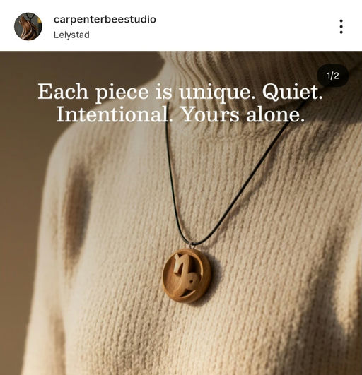Werk van CarpenterBeeStudio