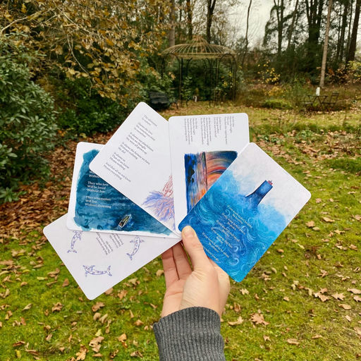 Ansichtkaarten van Rocky Roads the Book set 1